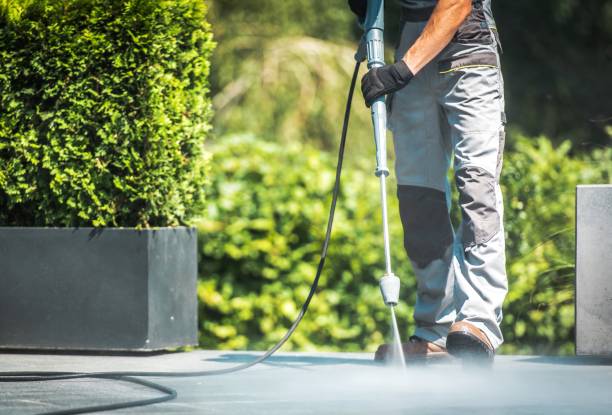 Best Dumpster Area Cleaning  in Tarpey Village, CA