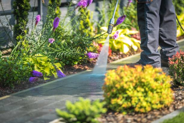 Best Sidewalk and Walkway Cleaning  in Tarpey Village, CA